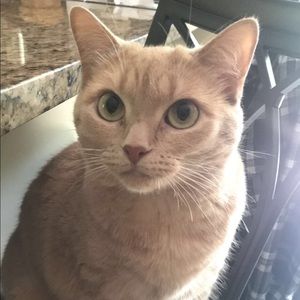 Meet your Posher, Celeste